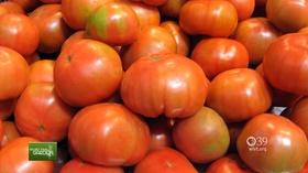 Video thumbnail: You Bet Your Garden You Bet Your Garden Ep: 20