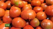 You Bet Your Garden Ep: 20