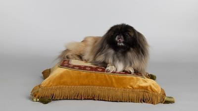 A Day in the Life on Set With Tricki