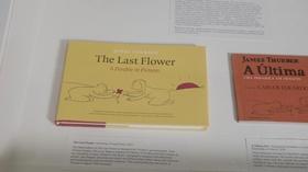 Video thumbnail: Broad and High James Thurber’s The Last Flower and Art Unbound II