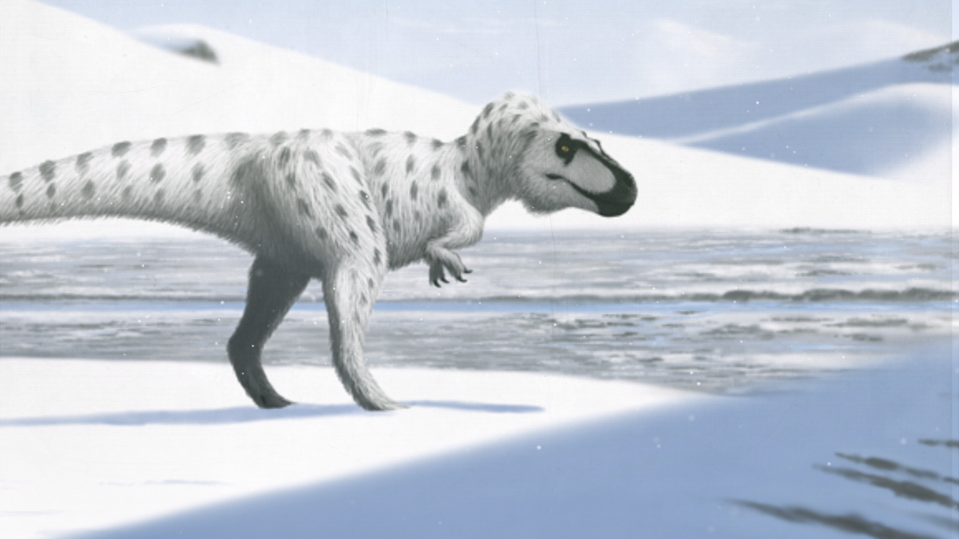 Fossils of Miniature T. Rex Found in Arctic