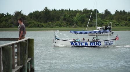 Video thumbnail: North Carolina Weekend Water Bug Tours