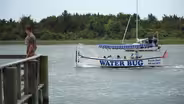Water Bug Tours