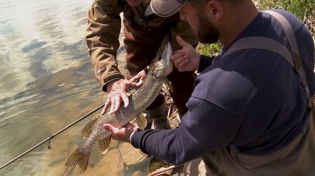 Video thumbnail: Fishing Behind The Lines Best of Pike and Muskie
