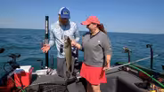 Walleye in Ohio