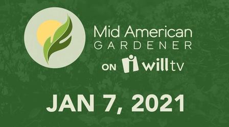 Video thumbnail: Mid-American Gardener January 7, 2021 - Mid-American Gardener
