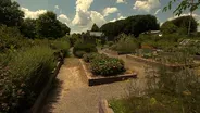Volunteer Gardener 3108