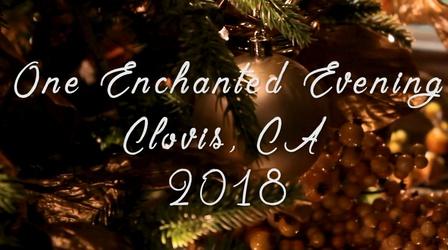 Video thumbnail: Valley PBS Community byYou One Enchanted Evening