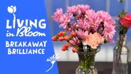 Breakaway Brilliance - Living in Bloom with J Schwanke