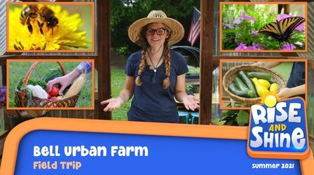 Video thumbnail: Rise and Shine Field Trip Bell Urban Farm