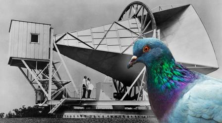 Video thumbnail: Fascinating Fails How Pigeon Poop Helped Unlock the Universe’s Secrets