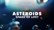 TRAILER | NOVA 5301 | Asteroid: Spark of Life?