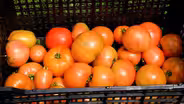 Food Production