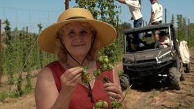 Video thumbnail: A Growing Passion Homegrown Hops: Local Flavor for Local Brews