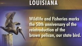 Video thumbnail: Louisiana: The State We're In Louisiana: The State We’re In - 07/27/18
