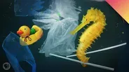 How Much Plastic is in the Ocean?