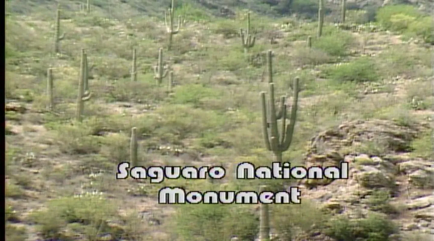 Saguaro National Monument (1986)
