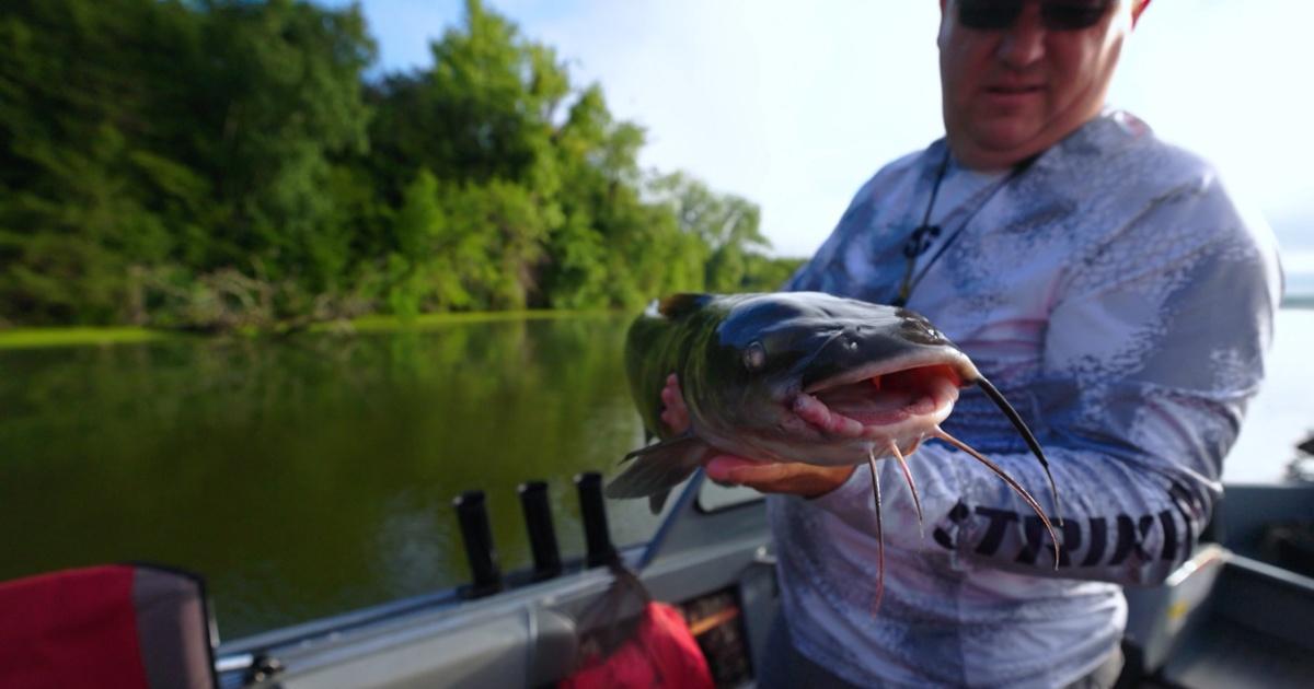 Prairie Sportsman | Catfish Control | Season 16 | Episode 2 | PBS
