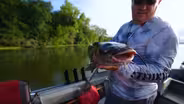 Catfish Control