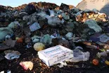 Why food waste is contributing to climate change
