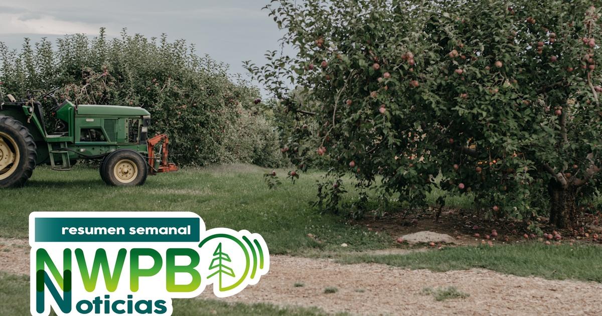 Resumen semanal de noticias de nwpb | inmigración y despidos preocupan en wa, y premian a campesinos por innovaciones: 3 de marzo de 2025 | season 202