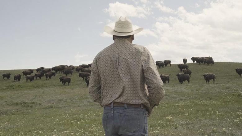 Bring Them Home Image