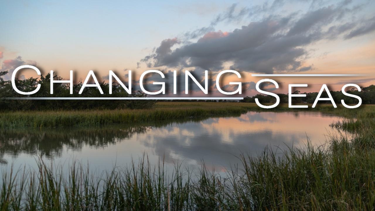 Changing Seas | At the Water's Edge: The Salt Marsh