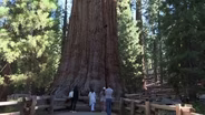 Sequoia National Park
