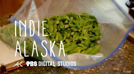 Video thumbnail: Indie Alaska Making Delicious Jelly from Spruce Trees