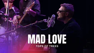 Tops Of Trees Performs "Mad Love"