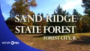 Sand Ridge State Forest