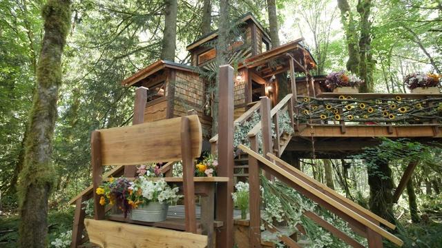Treehouse in Bloom