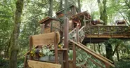 Treehouse in Bloom