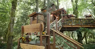Treehouse in Bloom