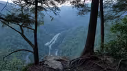 Wild Crossings