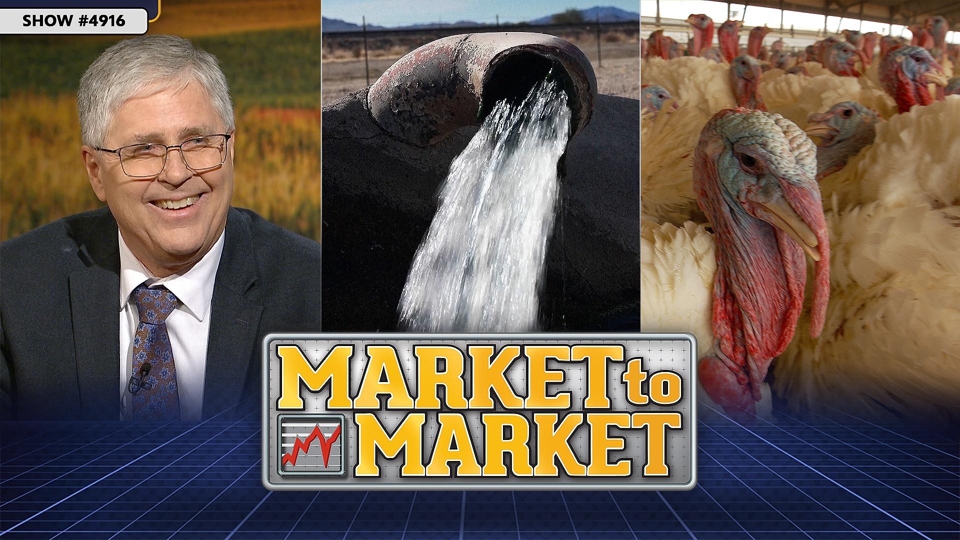 Market　4916　Market　Market　to　Season　Episode　December　1,　to　49　PBS　Market　2023