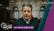Senator Patrick Gallivan on health Network Readiness