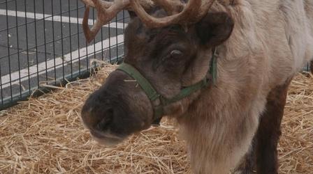Video thumbnail: Tennessee Life Tennessee Life - 802 - Happy Holidays