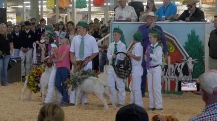 Video thumbnail: Valley PBS Community byYou The Big Fresno Fair: Livestock Auction
