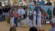 The Big Fresno Fair: Livestock Auction