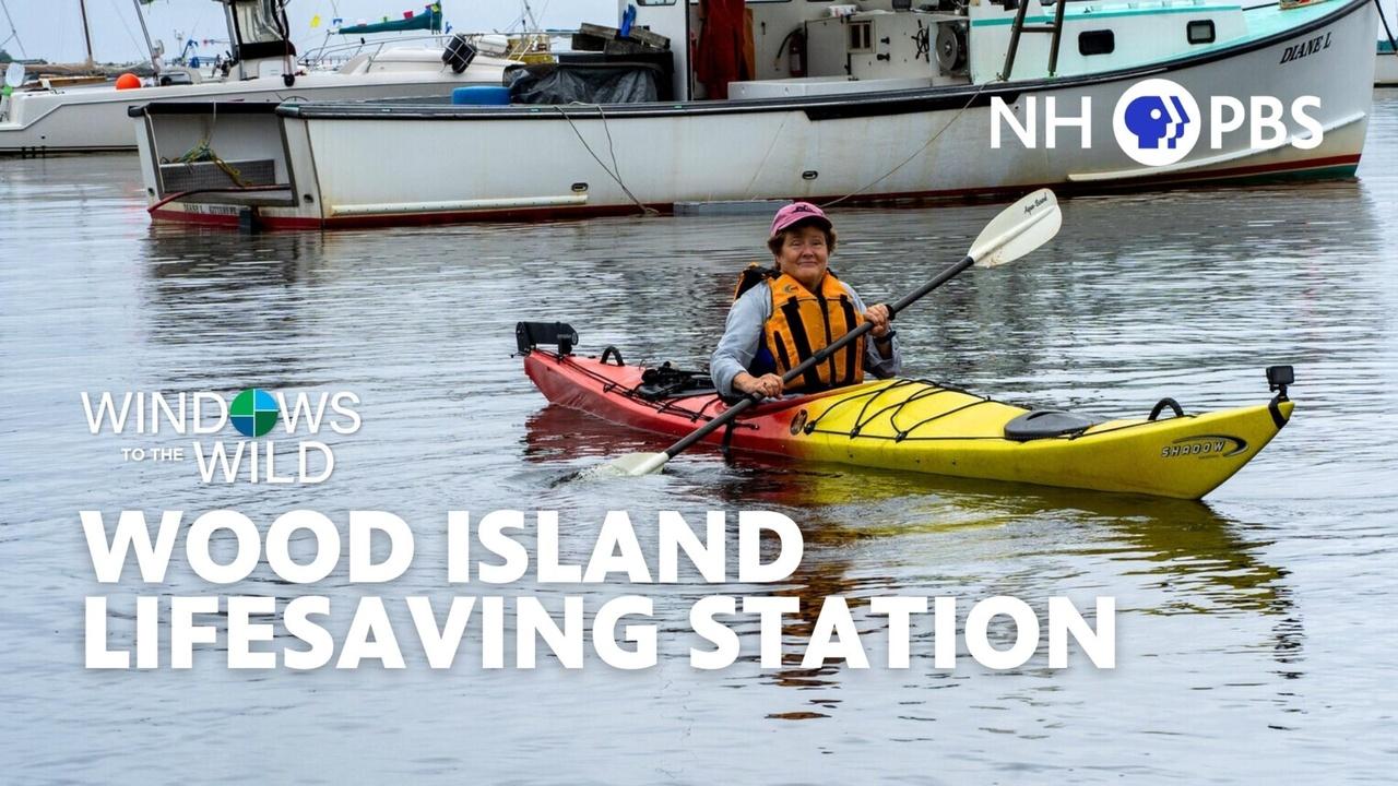 Windows to the Wild | Wood Island Lifesaving Station