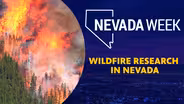 Wildfire Research in Nevada