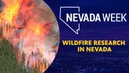 Wildfire Research in Nevada