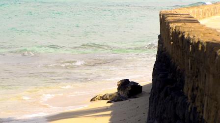 Video thumbnail: Insights on PBS Hawaiʻi 10/7/21 Beach Erosion & Restoration Efforts
