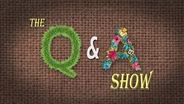 Q&A Show #3