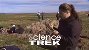 Soil: Soil Competition