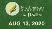 August 13, 2020 - Mid-American Gardener