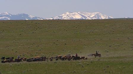 Video thumbnail: Scout-Places Borderlands (Outdoor Idaho)