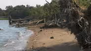 Pallone says ‘living shorelines’ can help protect towns