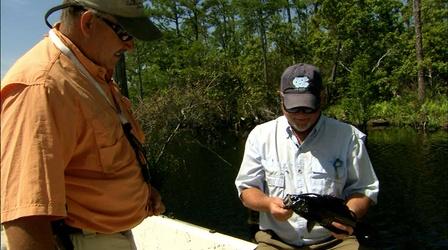 Video thumbnail: Carolina Outdoor Journal Fishing Options